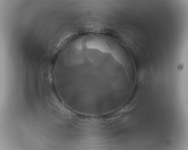 X0000114641202200910201435