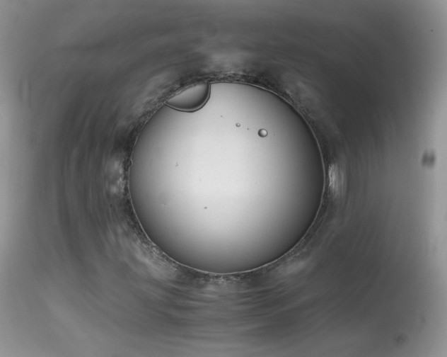 X0000114641203200910201435
