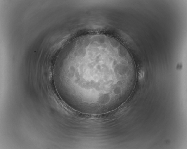 X0000114641204200910201435