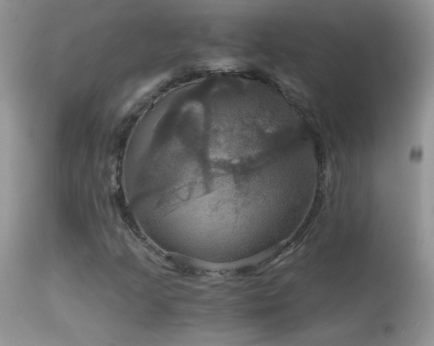 X0000114641205200910201435