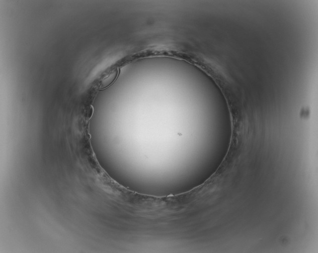 X0000114641207200910201435
