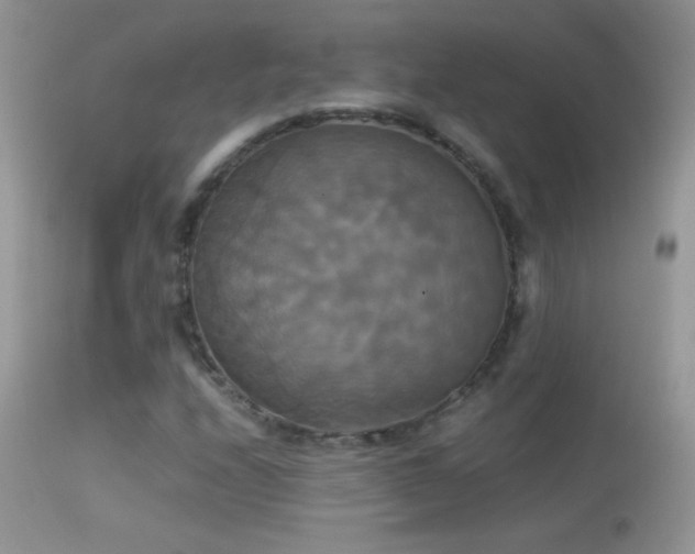 X0000114641208200910201435
