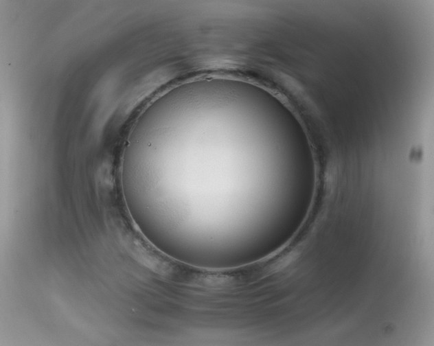 X0000114641209200910201435