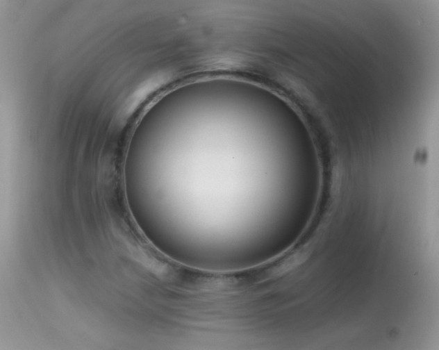 X0000114641210200910201435