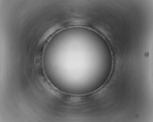 X0000114641211200910201435