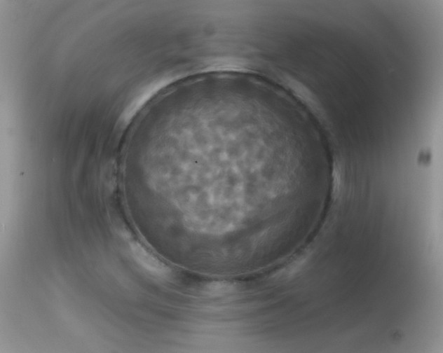 X0000114641212200910201435