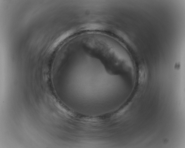 X0000114641213200910201435