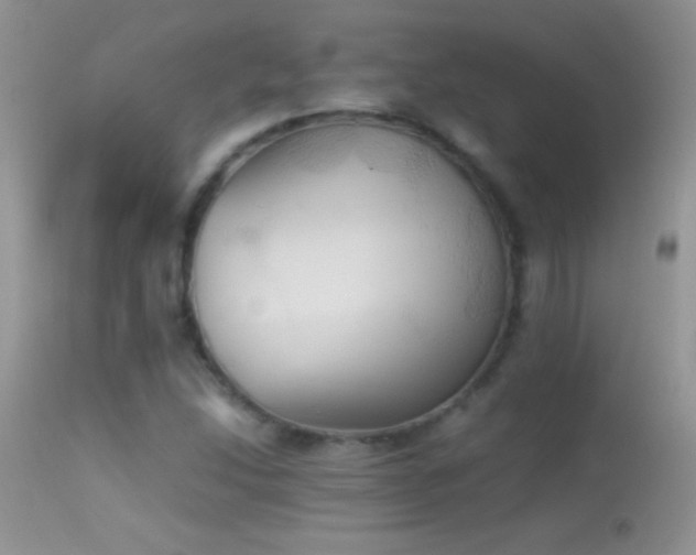 X0000114641214200910201435