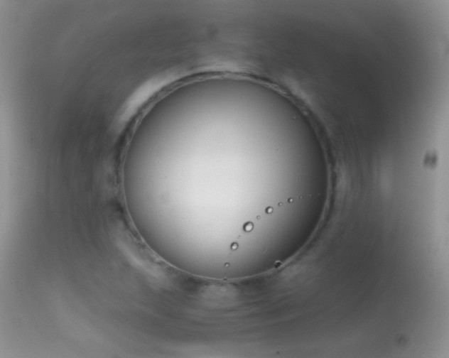 X0000114641215200910201435