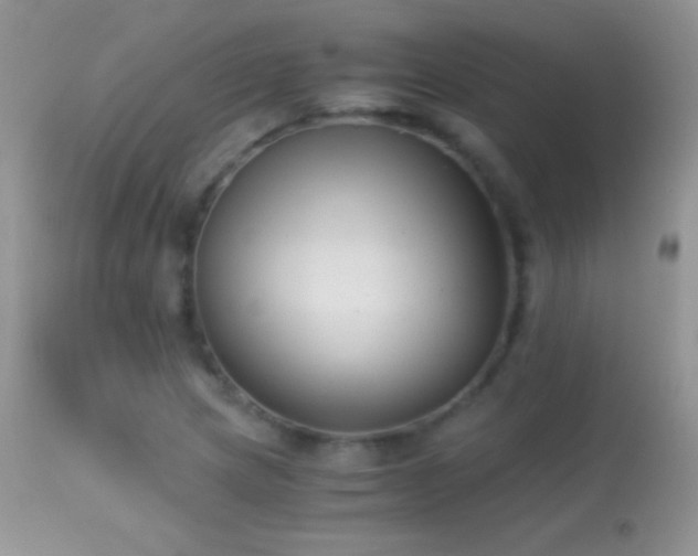 X0000114641217200910201435