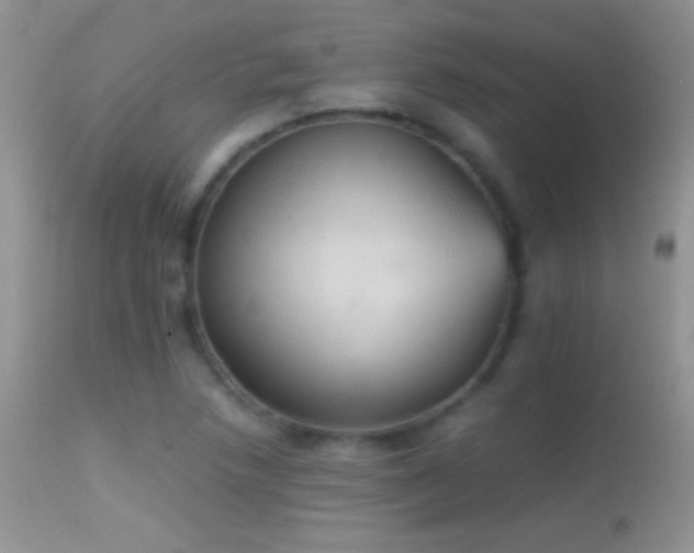 X0000114641218200910201435