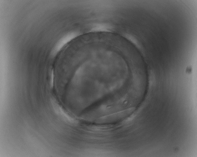 X0000114641219200910201435