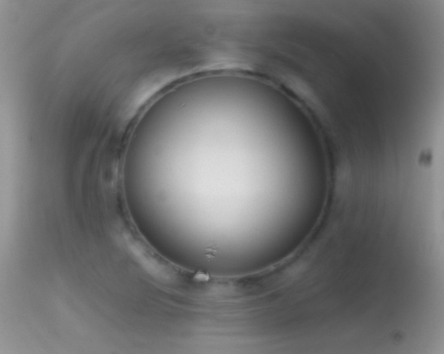 X0000114641220200910201435