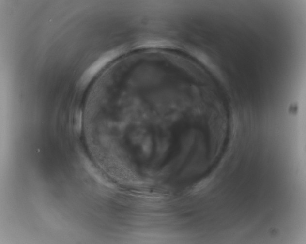 X0000114641221200910201435