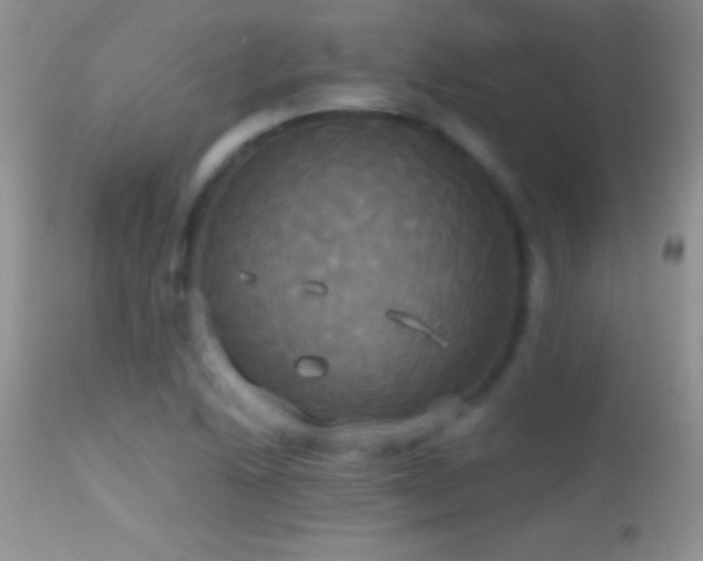 X0000114641222200910201435