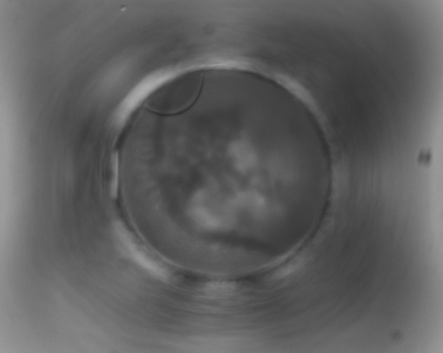 X0000114641223200910201435