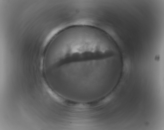 X0000114641224200910201435