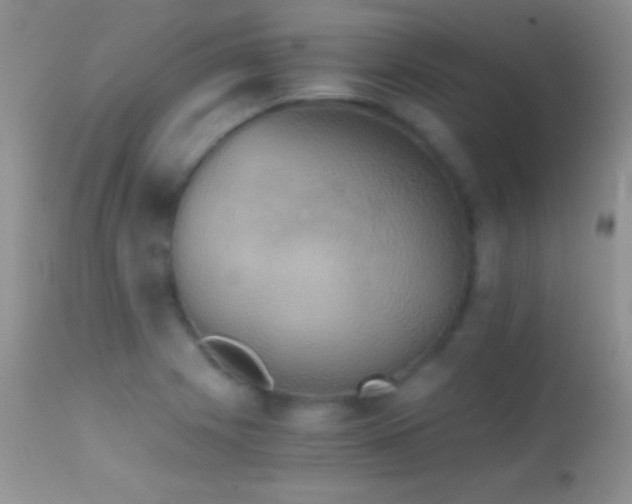 X0000114641225200910201435