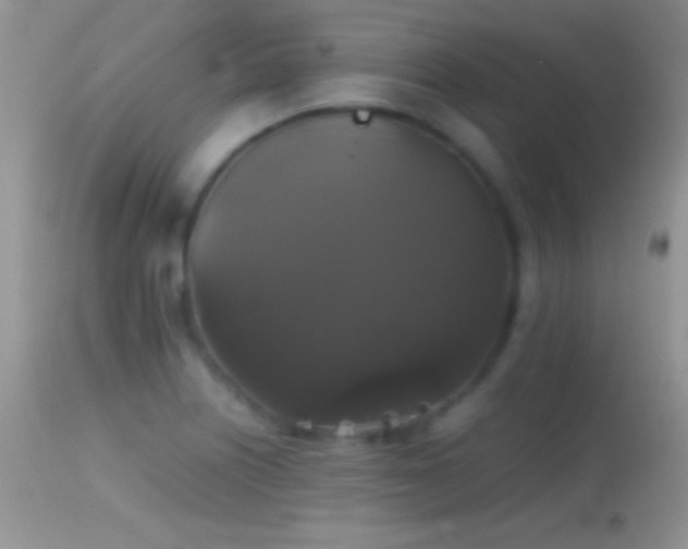 X0000114641226200910201435