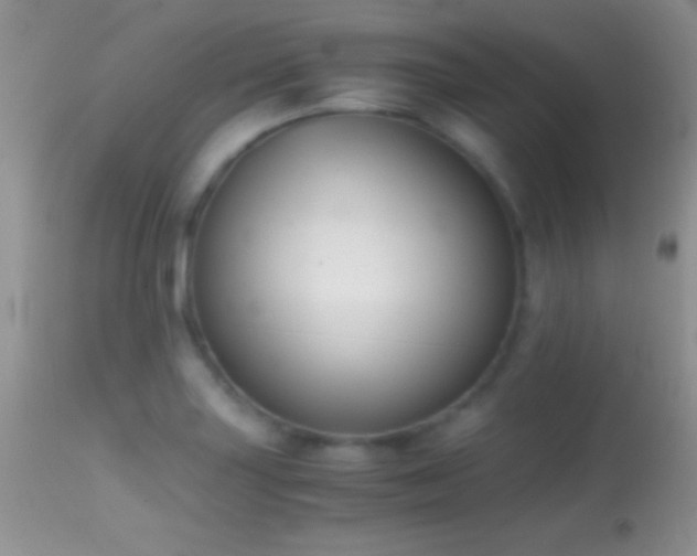 X0000114641227200910201435