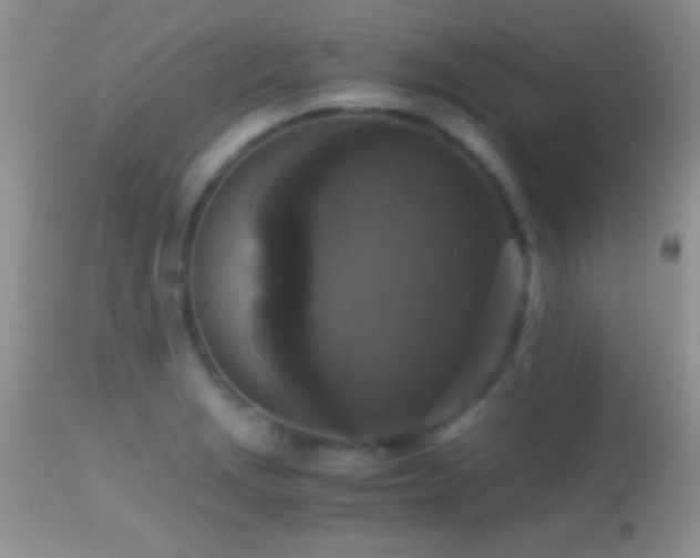 X0000114641229200910201435