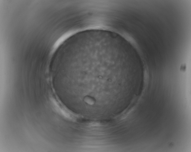X0000114641230200910201435