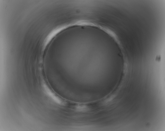 X0000114641231200910201435