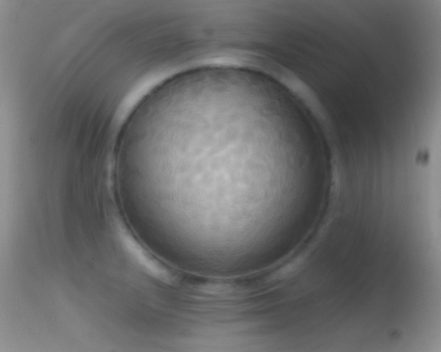 X0000114641232200910201436