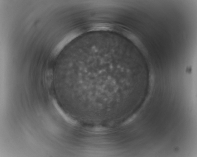 X0000114641233200910201436
