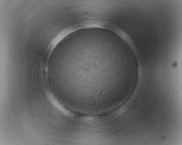 X0000114641234200910201436