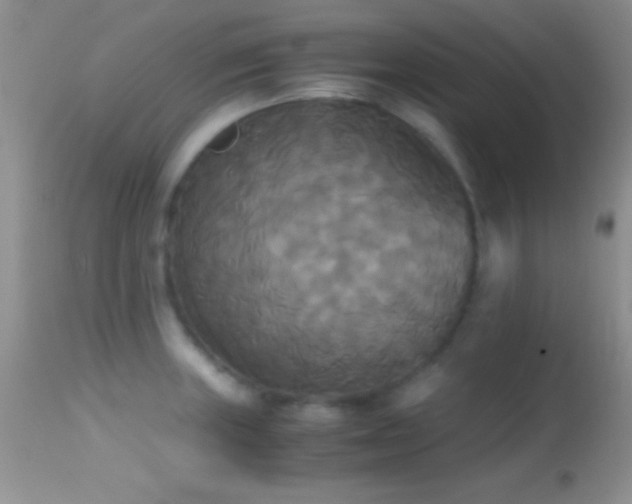 X0000114641235200910201436