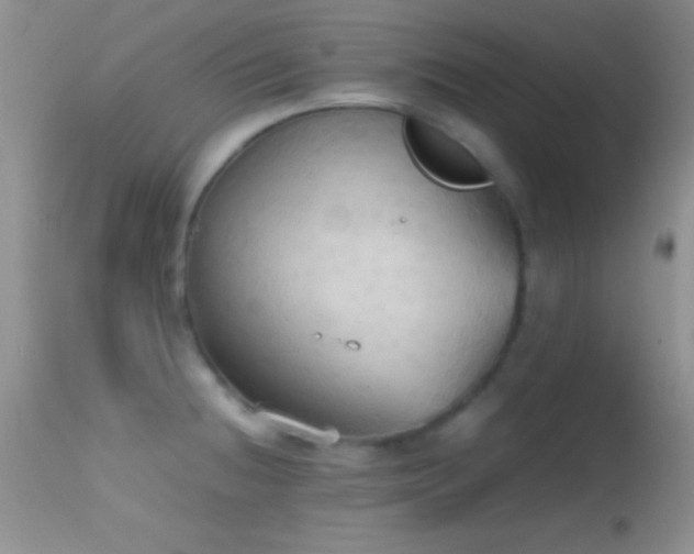 X0000114641236200910201436