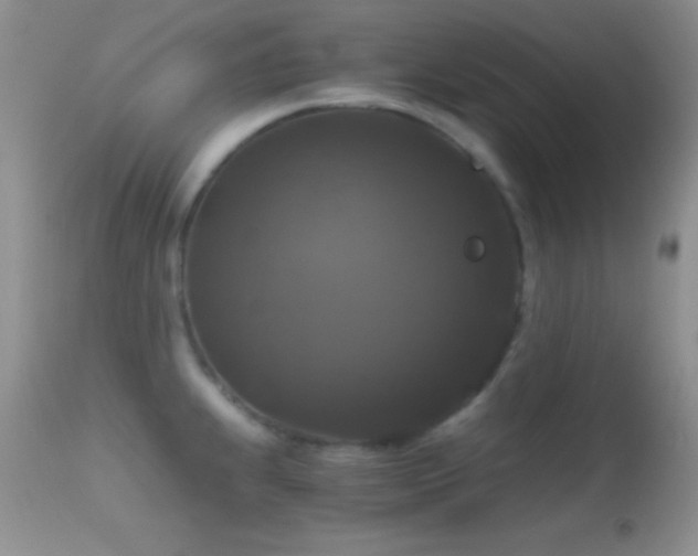X0000114641239200910201436