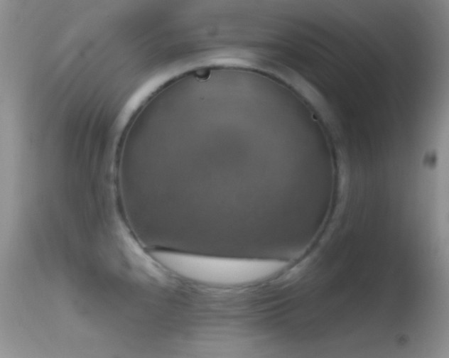 X0000114641240200910201436