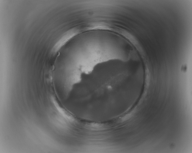 X0000114641241200910201436