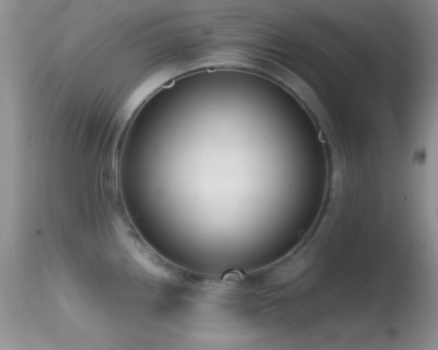 X0000114641242200910201436