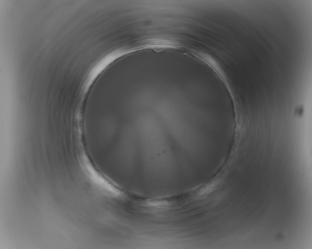 X0000114641243200910201436