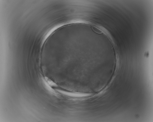 X0000114641244200910201436
