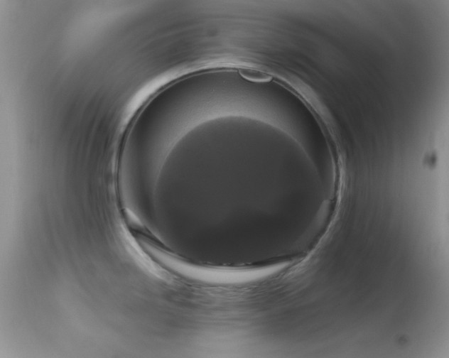 X0000114641246200910201436