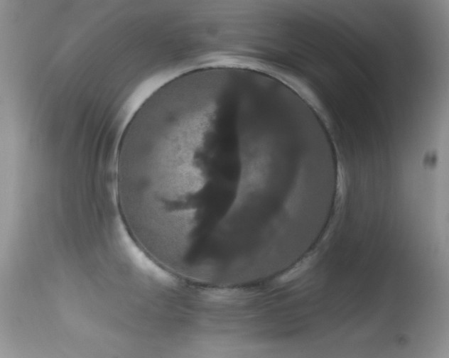 X0000114641247200910201436