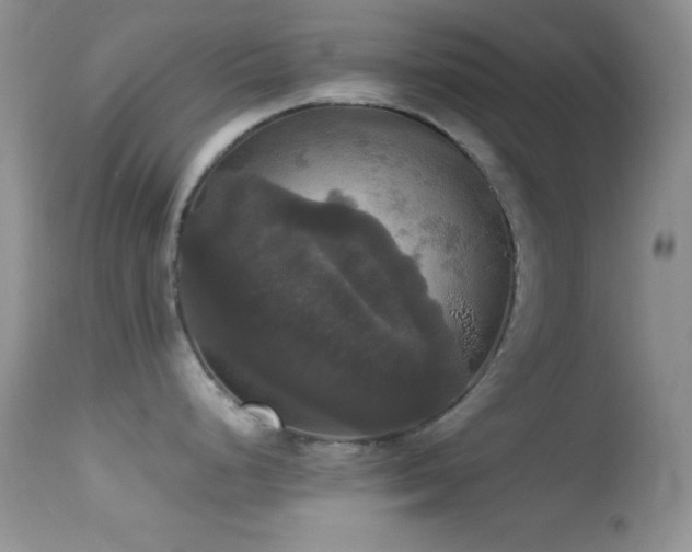 X0000114641248200910201436