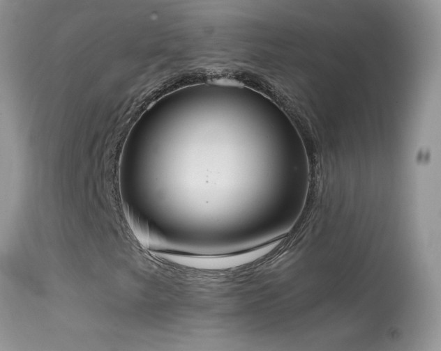 X0000114641249200910201435