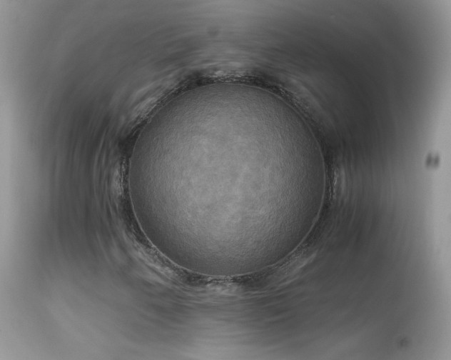 X0000114641250200910201435