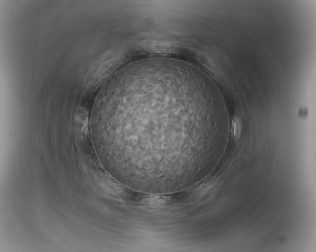 X0000114641251200910201435