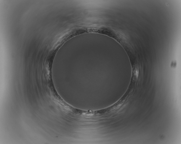 X0000114641252200910201435