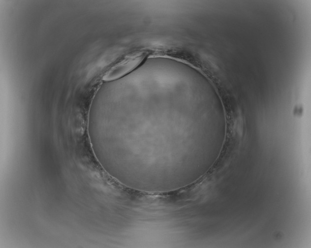X0000114641253200910201435