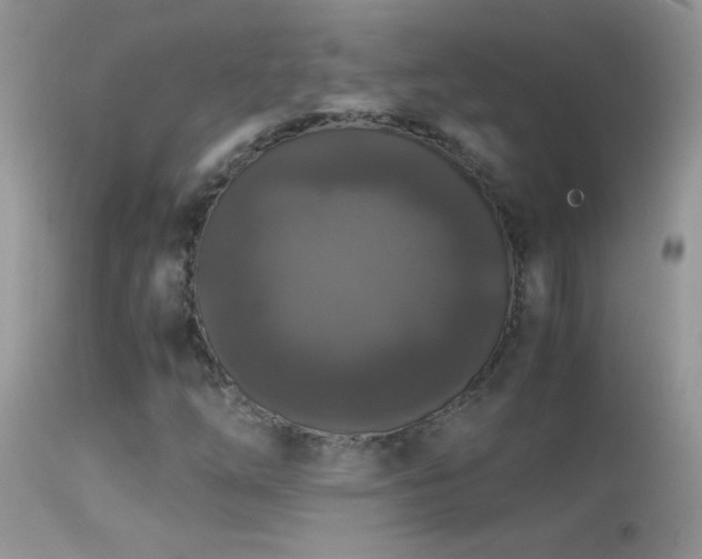 X0000114641254200910201435