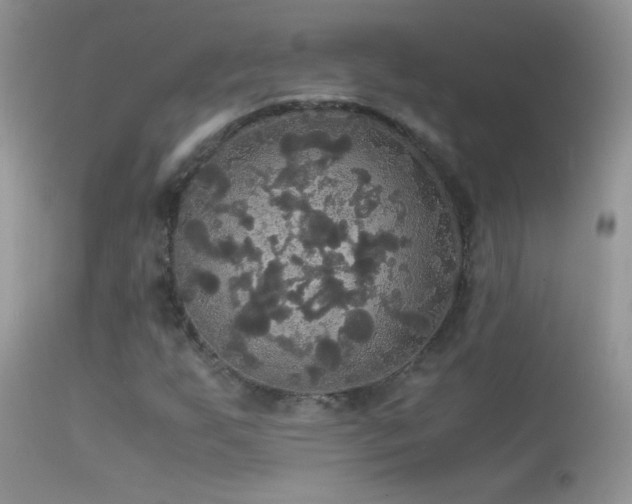 X0000114641255200910201435