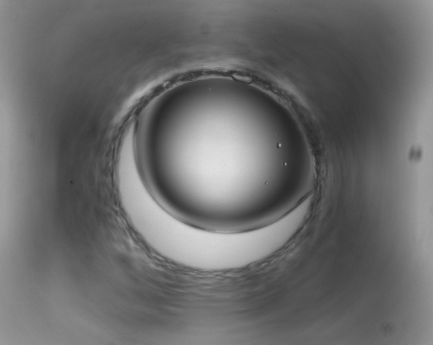 X0000114641256200910201435