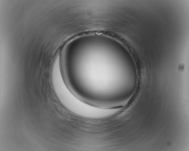 X0000114641257200910201435
